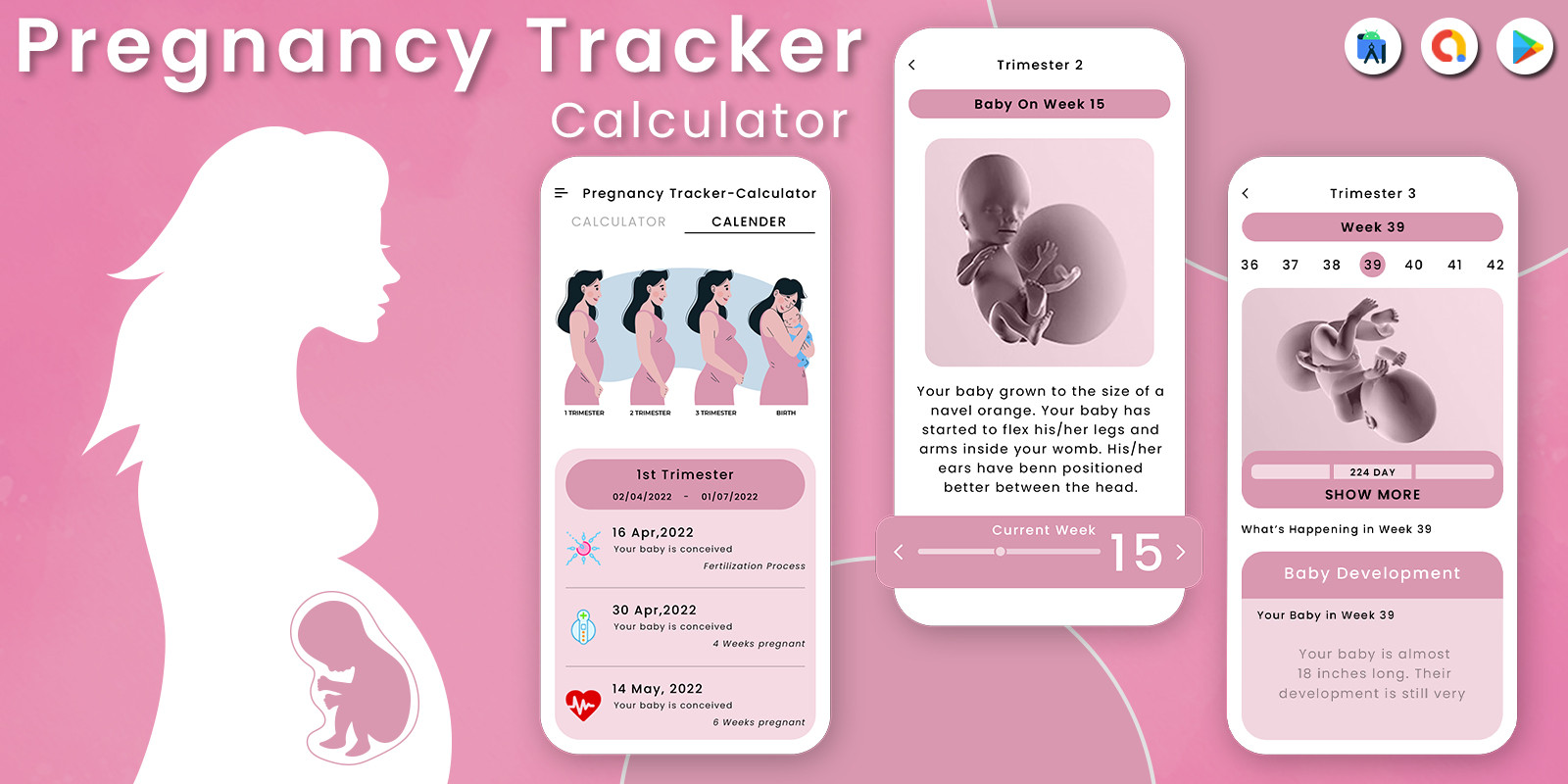 Pregnancy Due