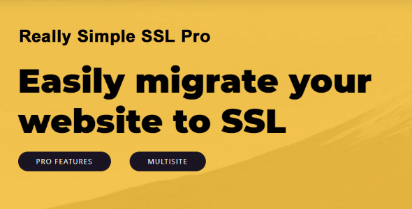 Really Simple SSL Pro